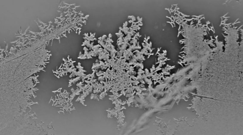 Winter Fractal directed by Christina King