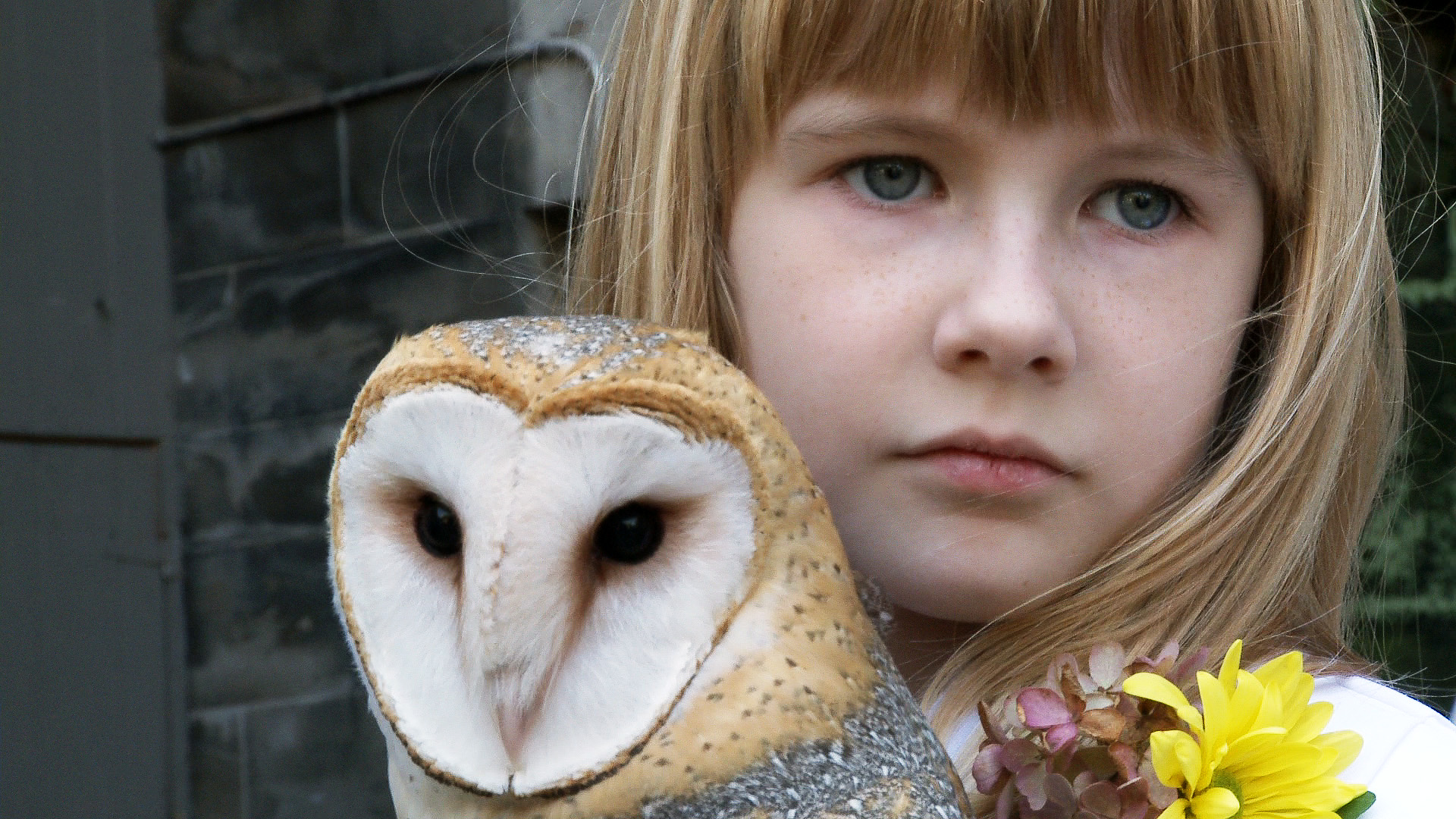 Owl Girl in One October